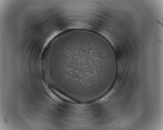 X0000097791114200803141823