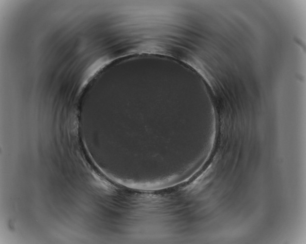 X0000097791115200803141823