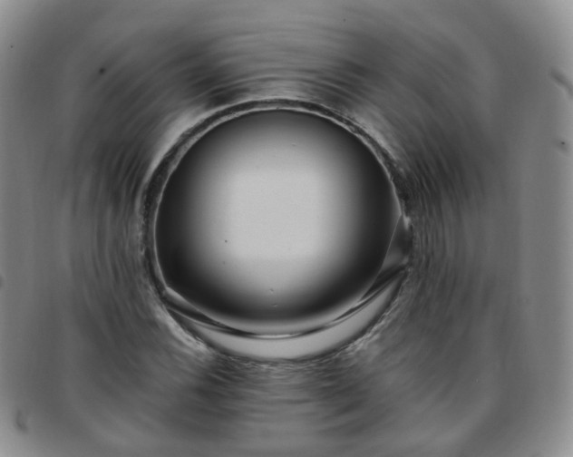 X0000097791116200803141823