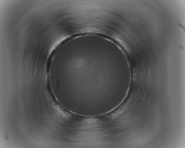 X0000097791117200803141823