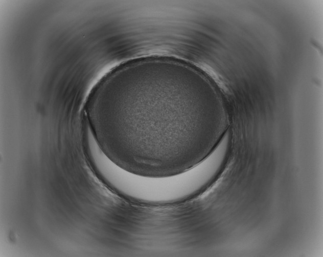X0000097791118200803141823