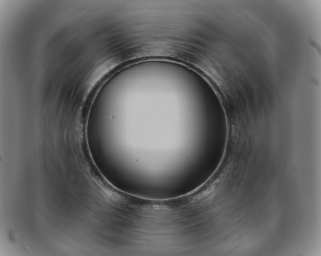 X0000097791119200803141823