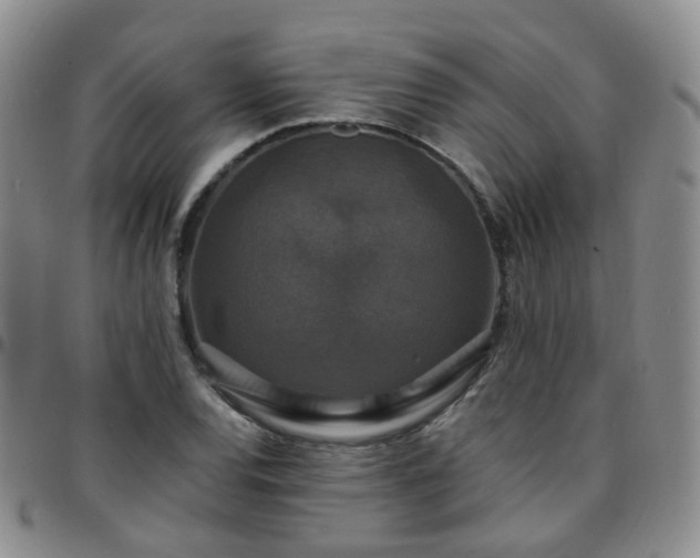 X0000097791120200803141823
