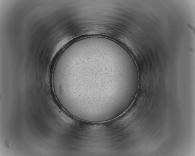 X0000097791122200803141823