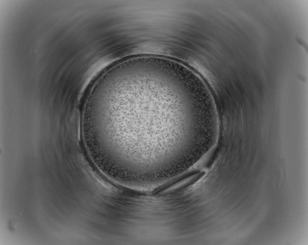 X0000097791123200803141823