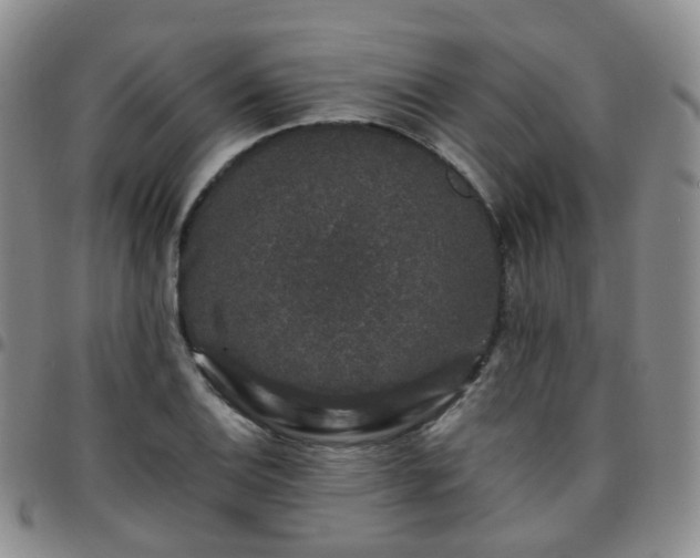 X0000097791124200803141823