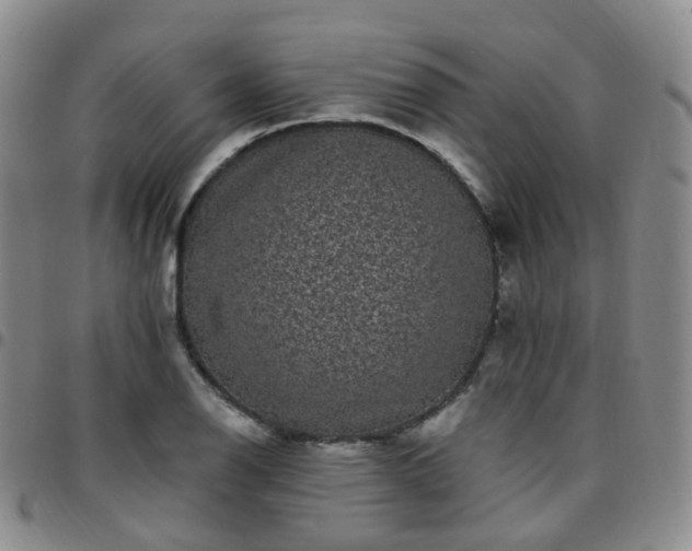 X0000097791126200803141823