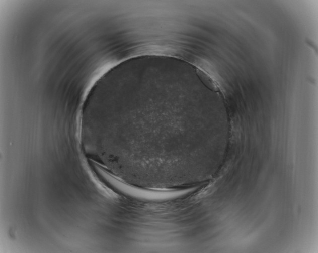 X0000097791128200803141823