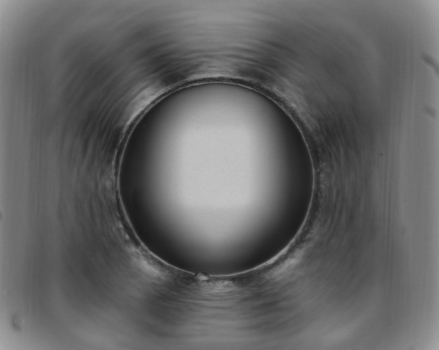 X0000097791129200803141823