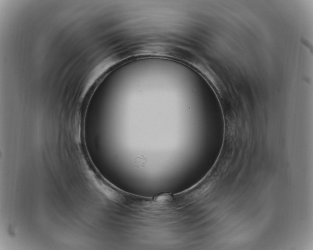 X0000097791131200803141823