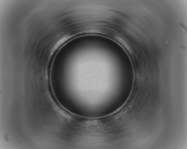 X0000097791133200803141823