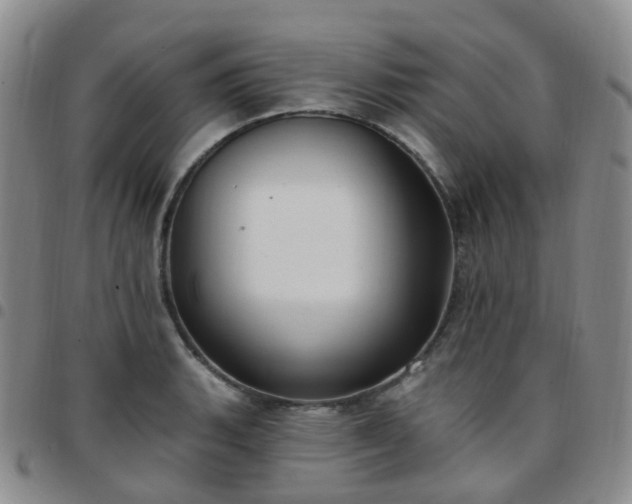 X0000097791135200803141823