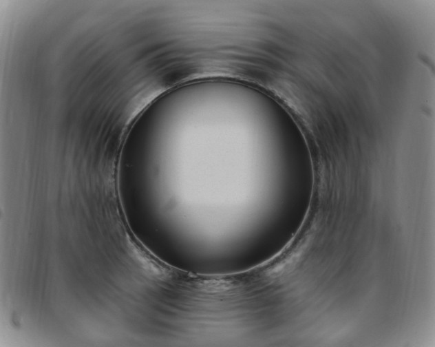 X0000097791137200803141823