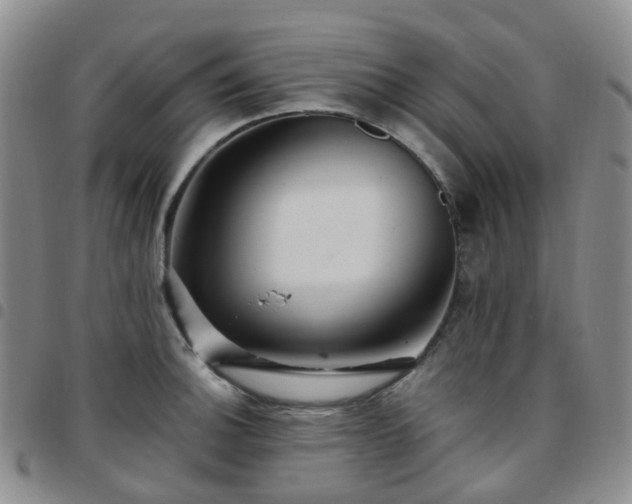 X0000097791140200803141823