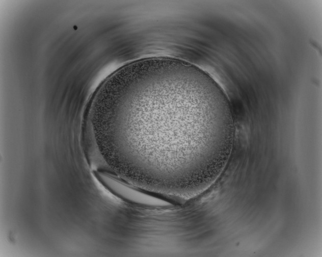 X0000097791143200803141823