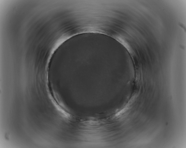 X0000097791144200803141823