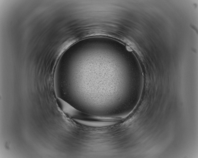 X0000097791145200803141823