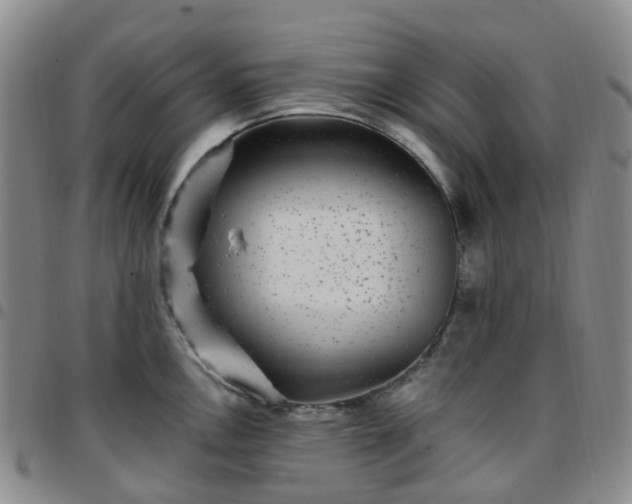X0000097791146200803141823