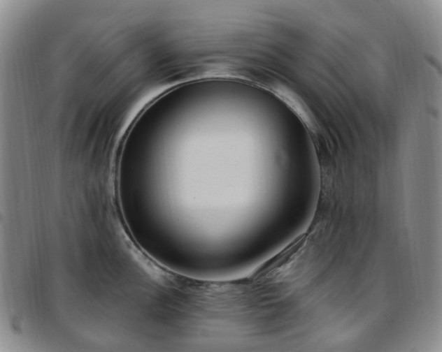 X0000097791148200803141823
