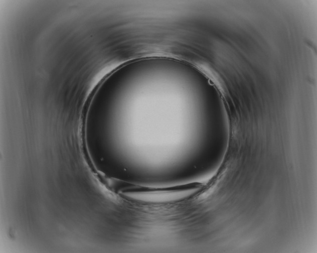 X0000097791149200803141823