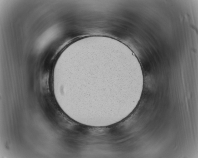X0000097791150200803141823
