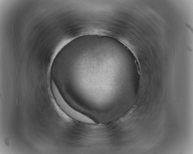 X0000097791152200803141823