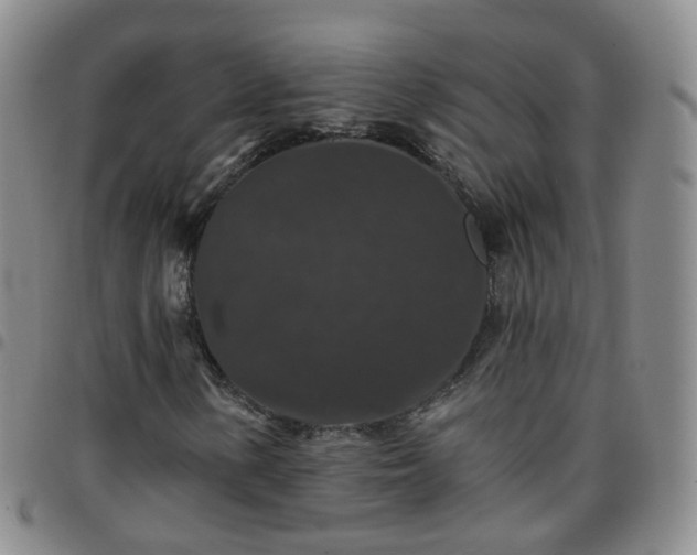 X0000097791154200803141823