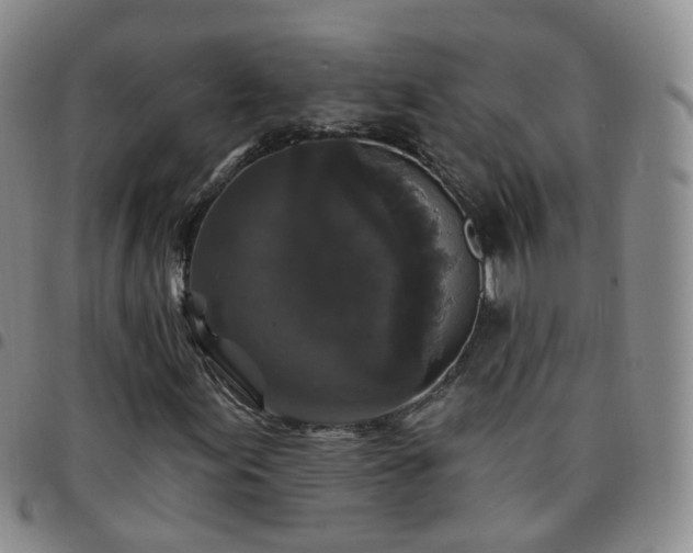 X0000097791155200803141823