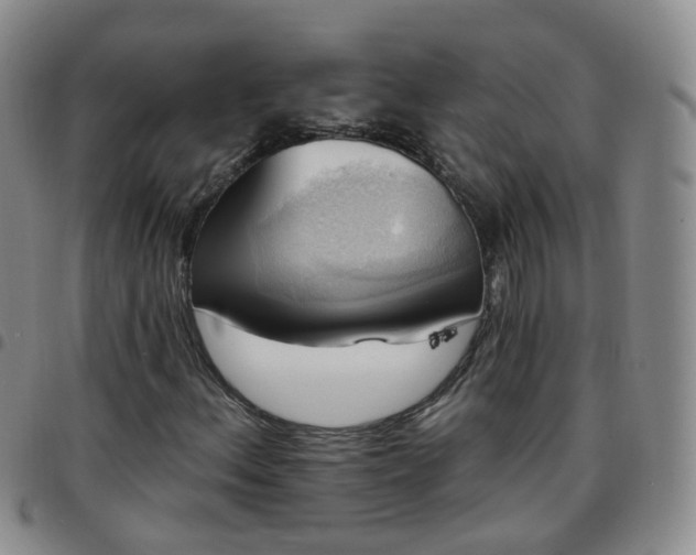 X0000097791156200803141823