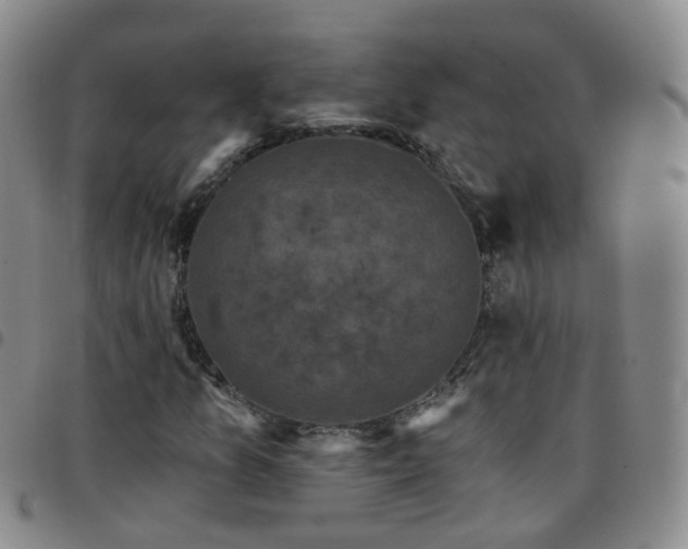 X0000097791157200803141823