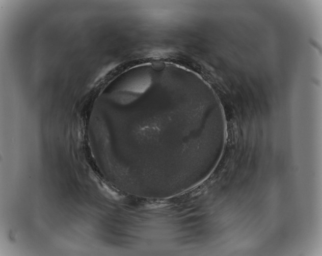 X0000097791158200803141823