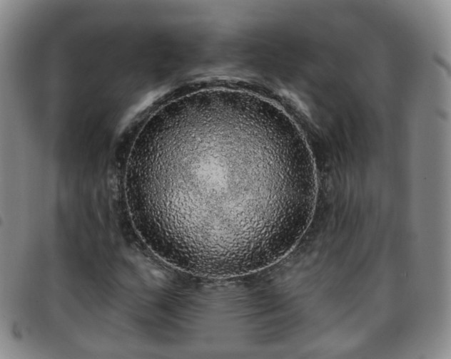 X0000097791159200803141823