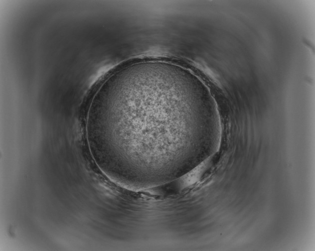 X0000097791160200803141823