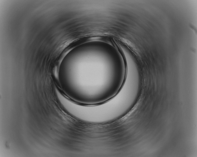 X0000097791161200803141823