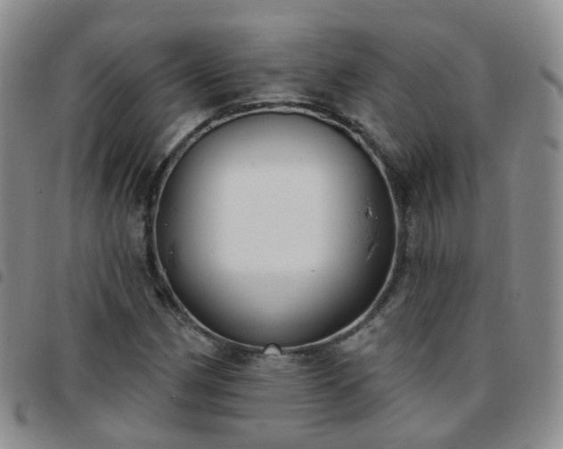 X0000097791162200803141823