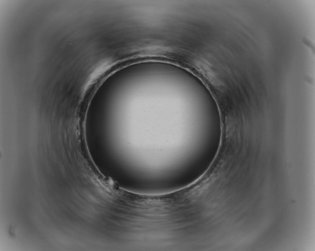 X0000097791164200803141823
