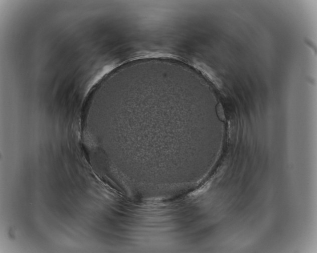 X0000097791165200803141823