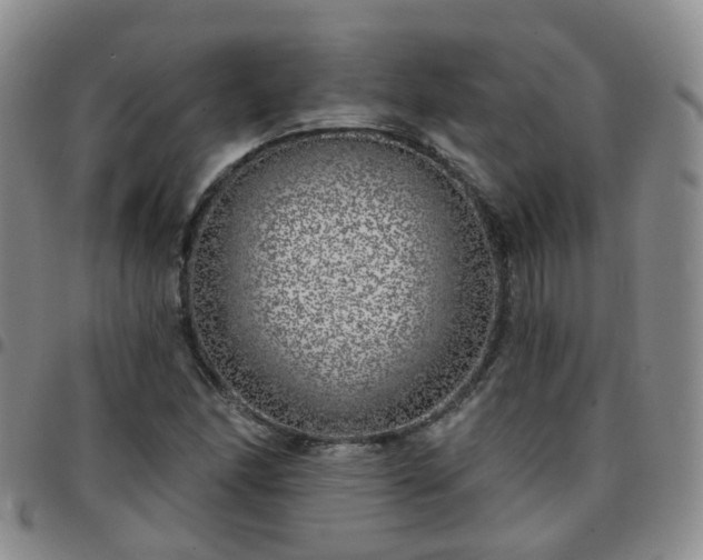 X0000097791166200803141823