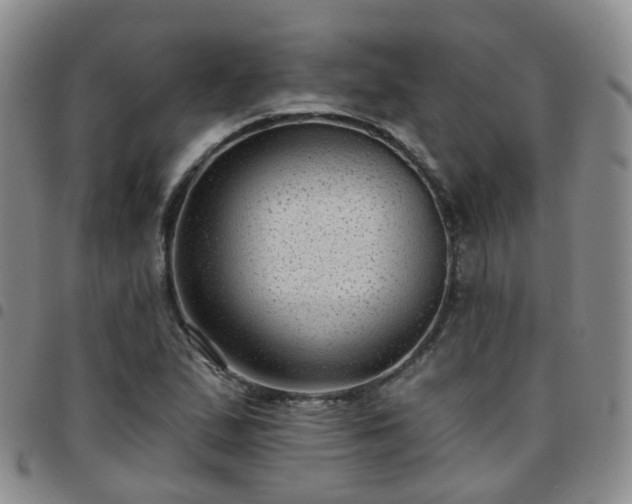 X0000097791167200803141823