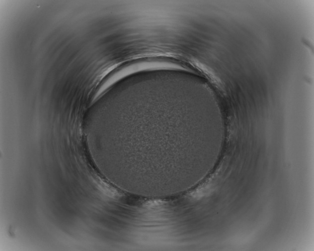 X0000097791169200803141823