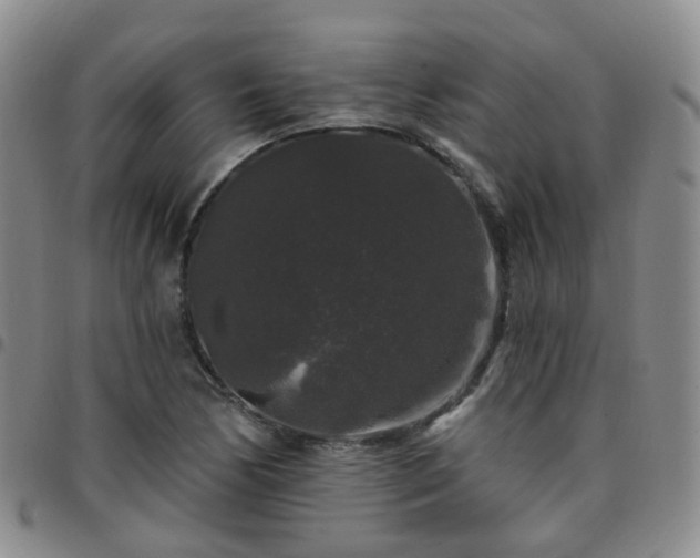X0000097791170200803141823