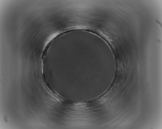 X0000097791171200803141822