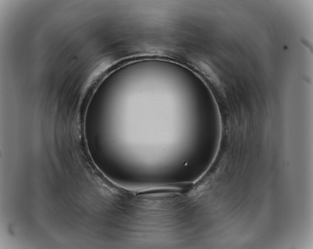 X0000097791172200803141822