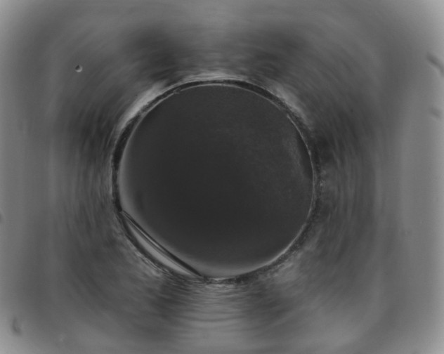 X0000097791173200803141822