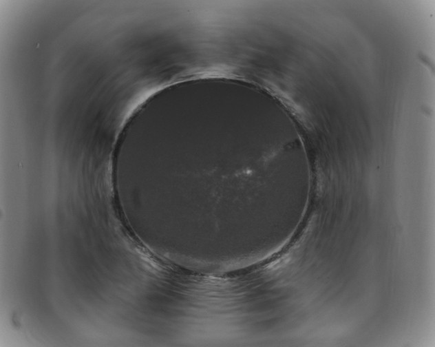 X0000097791174200803141822