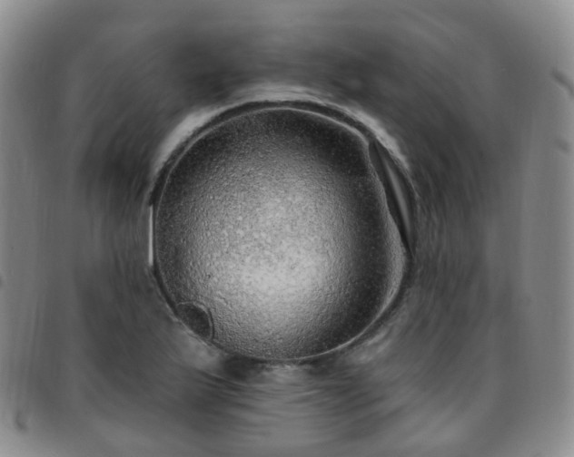 X0000097791175200803141822