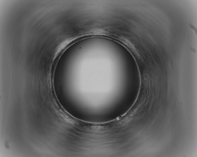 X0000097791176200803141822