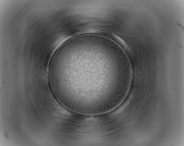 X0000097791178200803141822