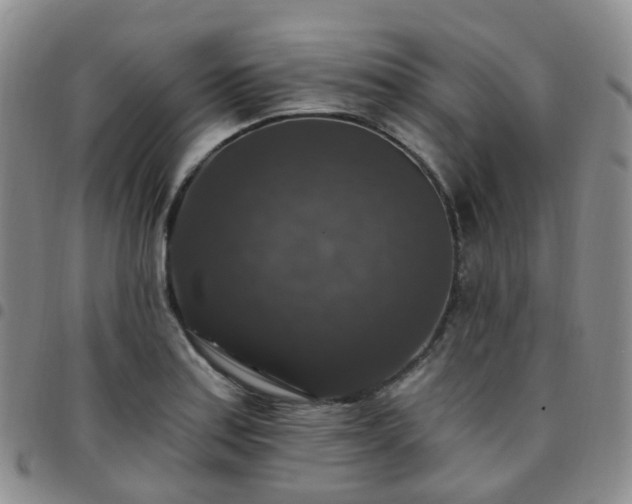 X0000097791179200803141822