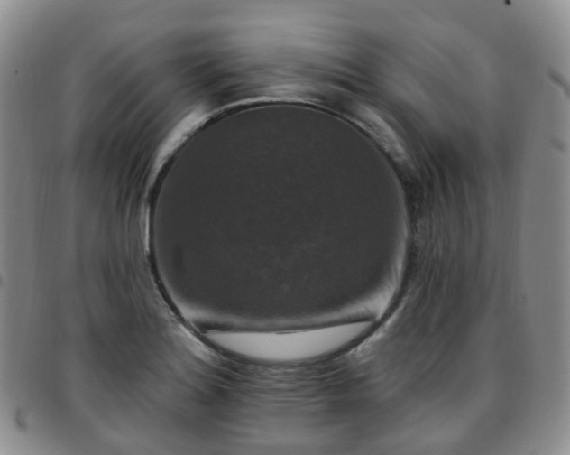 X0000097791180200803141822